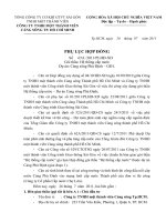 Mẫu phụ lục hợp đồng xây dựng công trình thi công cảng sông