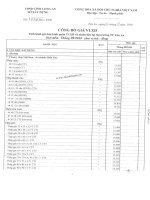 CHI SO gia xay dung vn tanan 08  2010