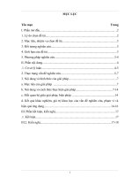 SKKN Một số biện pháp nâng cao chất lượng sinh hoạt Sao Nhi đồng