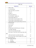 SKKN Một số biện pháp nâng cao chất lượng chương trình rèn luyện đội viên chuyên hiệu nghi thức Đội