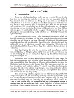 SKKN Một số kinh nghiệm nâng cao hiệu quả các bài dạy có sử dụng thí nghiệm trong chương trình hóa học Trung học cơ sở