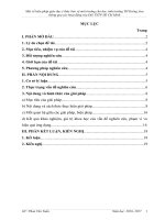 SKKN Một số biện pháp giáo dục ý thức bảo vệ môi trường cho học sinh trường TH Krông Ana thông qua các hoạt động của Đội TNTP Hồ Chí Minh