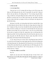 SKKN Một số biện pháp duy trì sĩ số học sinh ở Trường Tiểu học Y Ngông