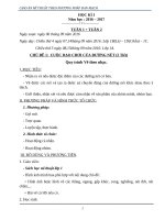 giáo án mỹ thuật đan mạch nâng cao năng lực học sinh lớp 1 học kì 1 (đã bổ sung hoàn thiện)