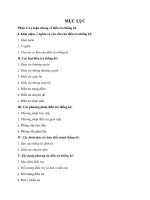 Vận dụng xây dựng phương án điều tra thống kê chi phí chi tiêu trung bình trong 1 tháng của sinh viên K51H trường Đại học Thương Mại