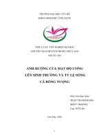 Ảnh hưởng của mật độ ương lên sinh trưởng và tỷ lệ sống cá bống tượng