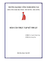 Báo cáo thực tập kỹ thuật tại Công ty Cổ phần Chăn nuôi C.P Việt Nam - Đào Hoàng Phúc