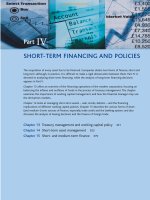 Ebook Corporate finance and investment (5th edition) Part 2