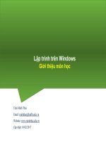 Bài giảng Lập trình trên Windows Giới thiệu môn học  Trần Minh Thái