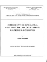 Determinants of bank capital structure  the case of vietnamnese commercial bank system 