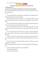 Soạn bài lớp 12: Luyện tập vận dụng kết hợp các thao tác lập luận 