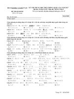 Đề thi thử nghiệm THPT quốc gia 2017 môn tiếng Nhật