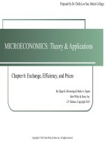 MicroEconomics theory and application 12th by browning an zupan chapter 06 