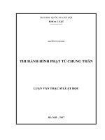 Thi hành hình phạt tù chung thân 