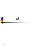 Lecture Database management systems  Chapter 8 SQL