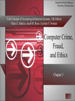 Core concepts of accounting information systems 13 by simkin norman chapter 03 