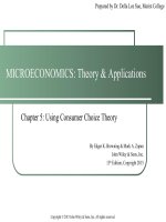MicroEconomics theory and application 12th by browning an zupan chapter 05 