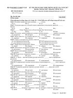 Đề thi thử nghiệm THPT quốc gia 2017 môn tiếng Nga