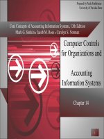 Core concepts of accounting information systems 13 by simkin norman chapter 14