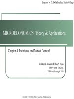 MicroEconomics theory and application 12th by browning an zupan chapter 04 