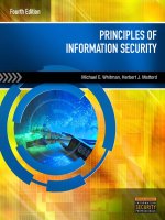 Ebook Principles of Information Security