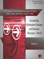 Core concepts of accounting information systems 13 by simkin norman chapter 11 