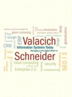 Ebook Information systems today  Managing in the digital world Part 1