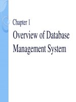 Lecture Database management systems  Chapter 1 Overview of database management system