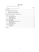 MÔ HÌNH KINH DOANH CỦA LAZADA  TRUNG TÂM MUA SẮM TRỰC TUYẾN SỐ 1 ĐÔNG NAM Á