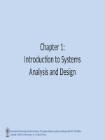 Lecture Systems analysis and design with UML (3 e)  Chapter 1 Introduction to systems analysis and design