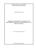 Nghiên cứu ảnh hưởng của khoáng vật montmorillonite đến cường độ chịu nén của trụ đất xi măng 