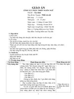 GIAO AN THI TRUONG NHO CU CAI (1)