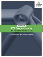 Ebook IOS programming  The big nerd ranch guide (5th edition) Part 1