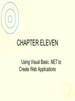 Lecture Learning programming using Visual Basic Net – Chapter 11 Using VISUAL Basic  NET to create web applications