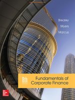 Fundamentals of corporate finance 8th brealey marcus mcgrwhill