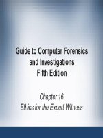 Guide to Computer forensics and investigations  Chapter 16 Ethics for the expert witness
