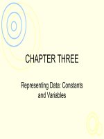 Lecture Learning programming using Visual Basic Net – Chapter 3 Representing data Constants and variables