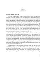 Đánh giá hiệu quả chuyển đổi đất sản xuất lúa sang mô hình trồng dưa hấu trên địa bàn xã Đại Trạch, huyện Bố Trạch, tỉnh Quảng Bình