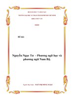 Nguyễn Ngọc Tư  Phương ngữ học và phương ngữ Nam Bộ