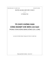Tổ Chức Không Gian Công Nghiệp Chế Biến Lúa Gạo Trong Vùng Đồng Bằng Sông Cửu Long
