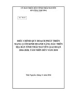 ĐIỀU CHỈNH QUY HOẠCH PHÁT TRIỂN MẠNG LƯỚI KINH DOANH XĂNG DẦU TRÊN ĐỊA BÀN TỈNH THÁI NGUYÊN GIAI ĐOẠN 2016-2020, TẦM NHÌN ĐẾN NĂM 2030