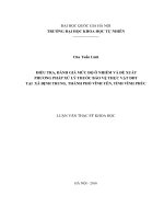 Điều tra, đánh giá mức độ ô nhiễm và đề xuất phương pháp xử lý thuốc bảo vệ thực vật DDT tại xã định trung, thành phố vĩnh yên, tỉnh vĩnh phúc 