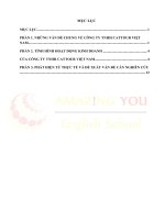 tình hình hoạt động kinh doanh của công ty tnhh cattour việt nam 