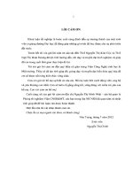 Tối ưu hóa quá trình thủy phân Protein trên đầu tôm thẻ chân trắng bằng Enzyme alcalase và đặc trưng tính chất của dịch thủy phân