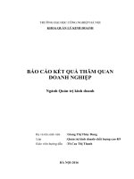 báo cáo thực tế doanh nghiệp : Công ty cổ phần PICO