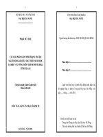 Các giải pháp giảm tình trạng trẻ em người đồng bào dân tộc thiểu số bỏ học tại khu vực nông thôn thành phố Pleiku, tỉnh Gia Lai