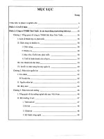 Hoạch định chiến lược marketing tại công ty TNHH dệt may thái tuấn từ năm 2007 đến năm 2010   tài liệu, ebook, giáo trình 