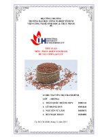 Tiểu Luận Môn Phát Triển Sản Phẩm Đề Tài Cốm Gạo Lứt