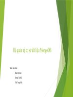 Slide về Hệ quản trị Cơ sở dữ liệu Mongo DB