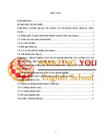 tình hình hoạt động sản xuất kinh doanh của công ty cổ phần seoul metal việt nam 